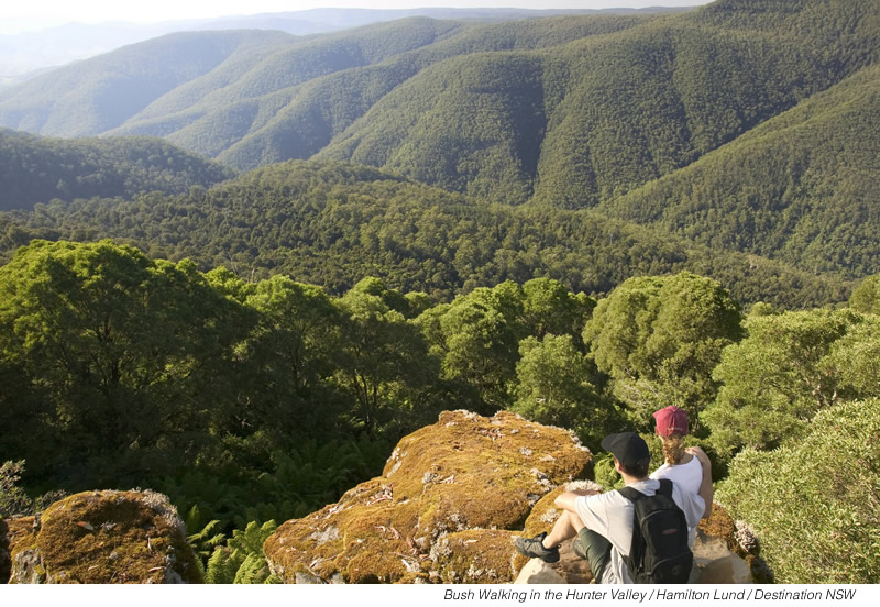 Bush Walking In hte Hunter Valley